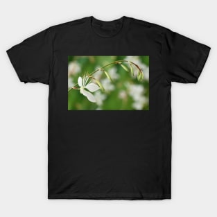 Gaura lindheimeri 'Sparkle White' T-Shirt